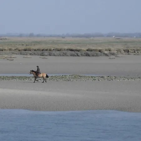 Madame Les Terrasses De La Aparthotel