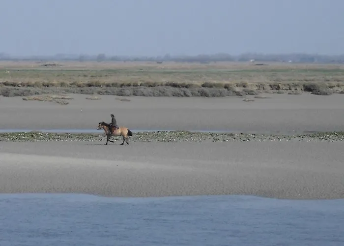 Madame Les Terrasses De La Aparthotel